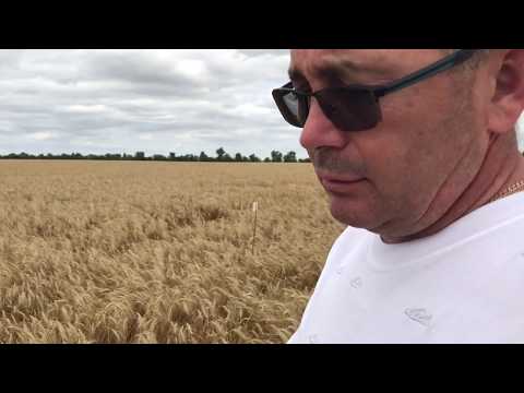 Видео: Андрей Бедненко на моих полях