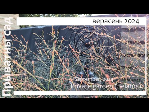 Видео: Прыватны сад у Беларусі, верасень / Private garden. Belarus, September (SUB)