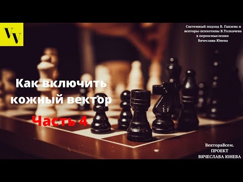 Видео: Активация кожного вектора. Часть 4. ВектораВсем. Проект Вячеслава Юнева