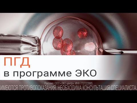 Видео: ПГД (ПГТ) в программе ЭКО