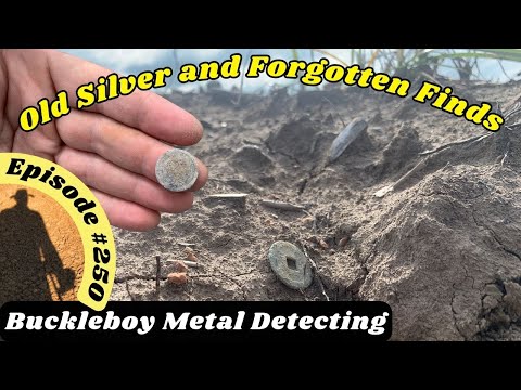 Видео: Металлоискатель. Эпизод 250: Старое серебро и забытые находки