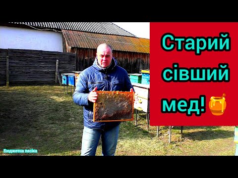 Видео: Що робити з рамками коли в них мед сів? Рамки з минулорічним медом легко можна використати повторно.