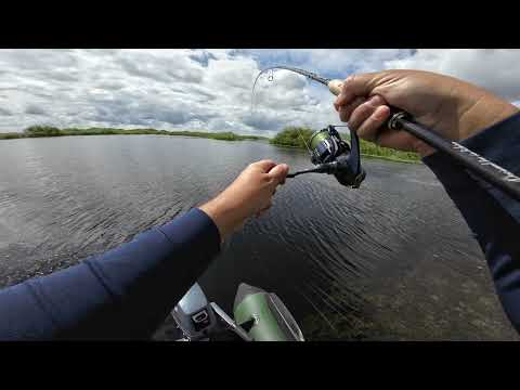 Видео: В ЭТОЙ РЕЧКЕ МОРЕ ЩУКИ. ЛУЧШАЯ РЫБАЛКА на Ишиме. Рыбалка
