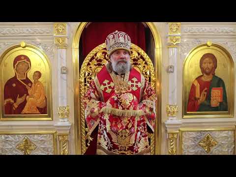Видео: Проповедь епископа Питирима (Творогова) в день памяти великомученика Димитрия Солунского. 08.11.25.