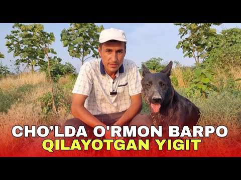 Видео: ЧЎЛДА ЎРМОН БАРПО ҚИЛАЁТГАН ЙИГИТ