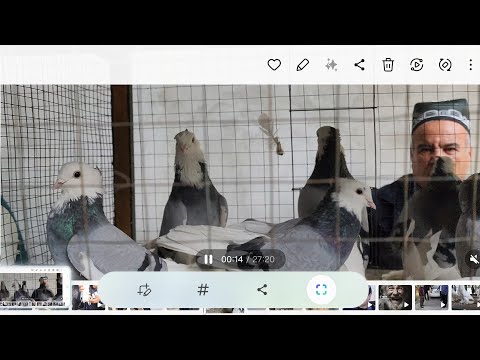 Видео: 18 октября 2025 г.