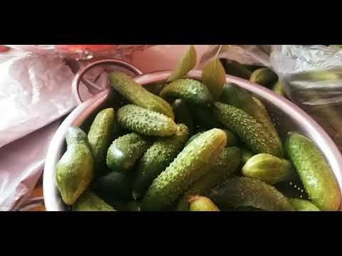 Видео: Заготовки на Зиму.🌶🌶🌶 Видео от 20го сентября.