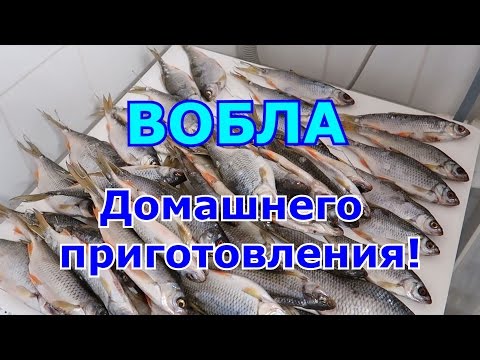 Видео: Вяленая вобла (таранка) Лучший рецепт ! Как завялить плотву ,в домашних условиях.