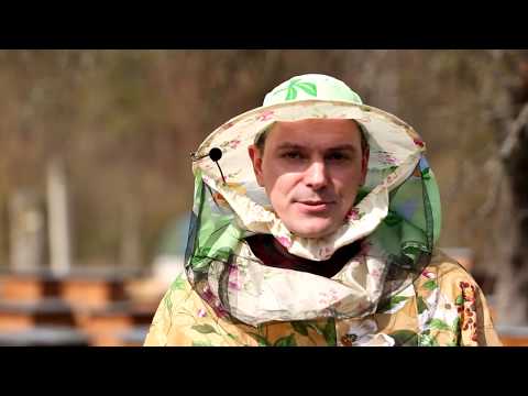 Видео: Пасечник №3 - Переселение семей