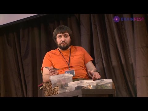 Видео: ОЛЕГ ВАЛЕРСКИЙ - «Насекомые, о которых вы точно не слышали»