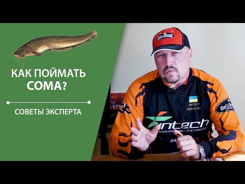 Видео: Ловля сома на спиннинговые приманки | Cоветы эксперта