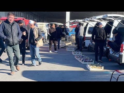 Видео: УЗУМ НАРХИ ПАСТЛАДИ Олтиариқ узум бозор