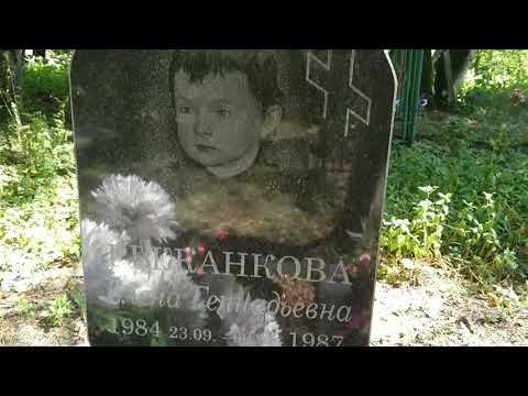 Видео: Деревни Имёнка, Подымёнка и Липки (Брянская область, Почепский район, Дмитровский сельсовет)