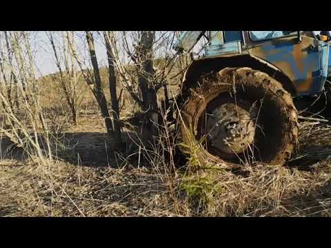 Видео: Корчеватель деревьев Крокодил!Первые испытания!