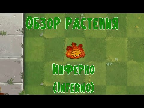Видео: Обзор Инферно (Inferno), растение из Plants vs Zombies 2