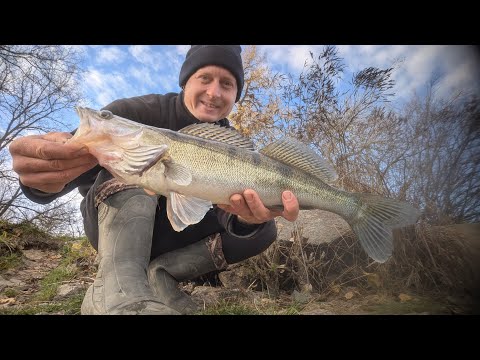 Видео: 😱Судак закінчився? Або ще не час?