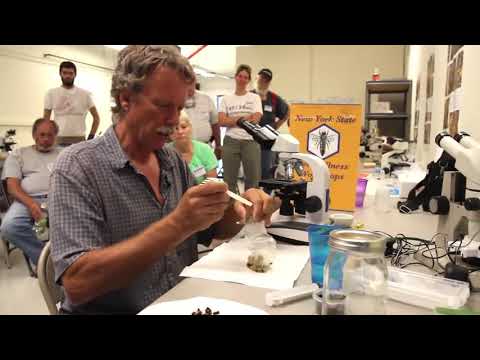 Видео: Анализ на нозематоз Ренди Оливер, США