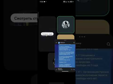 Видео: 13 ноября 2025 г.