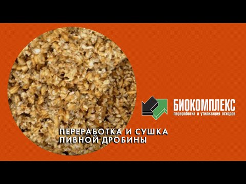 Видео: Переработка и сушка пивной дробины