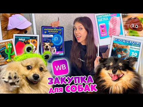 Видео: Покупаю ТОВАРЫ на WB 🛒для МОИХ СОБАК с ПОДПИСЧИКАМИ 😎