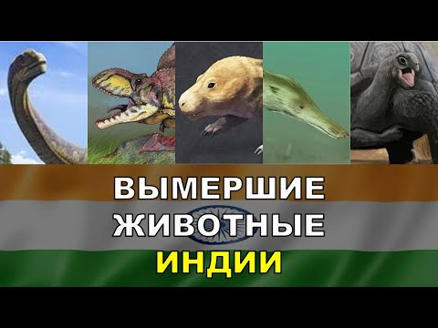 Видео: 5 Вымерших Животных Индии | Вымершие Животные Разных Стран