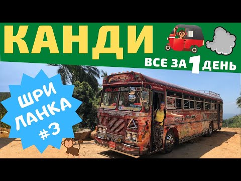 Видео: Шри-Ланка. Канди. Храм зуба Будды.