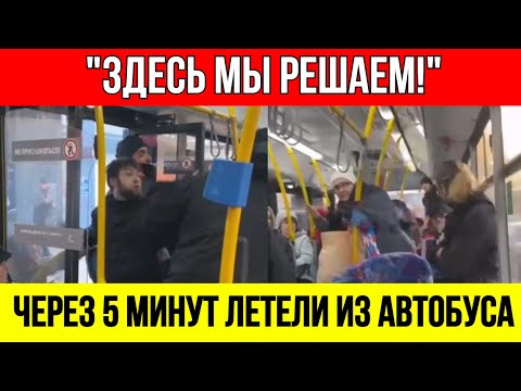 Видео: "Русские свиньи!" - кричали мигранты. Ответ мужиков был МОЛНИЕНОСНЫМ