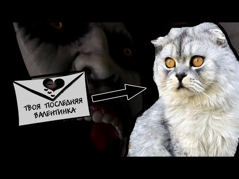 Видео: КОШАЧЬЯ ИСТОРИЯ УЖАСОВ 6 СЕРИЯ | ЧЁРНАЯ ВАЛЕНТИНКА