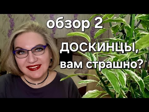 Видео: ДОСКИНЦЫ, вам страшно❓️