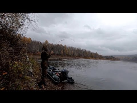 Видео: СТОЛЬКО ЛЕНКОВ я ЕЩЕ не ЛОВИЛ !!! Рыбалка на спиннинг на реках Сибири