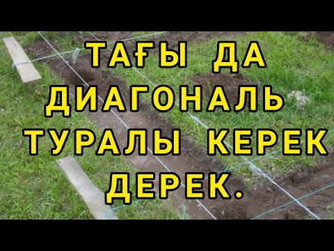 Видео: ТАҒЫ ДА ДИАГОНАЛЬ ТУРАЛЫ ПАЙДАЛЫ АҚПАРАТ.