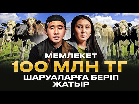 Видео: Мал шаруашылығы арналған субсидия 2025! Мал шаруашылығына 100 млн тг беріп жатыр! Кредит алу.