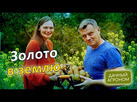 Видео: СДЕЛАЙ ЭТО ОСЕНЬЮ И ЗЕМЛЯ СТАНЕТ КАК ХЛЕБ