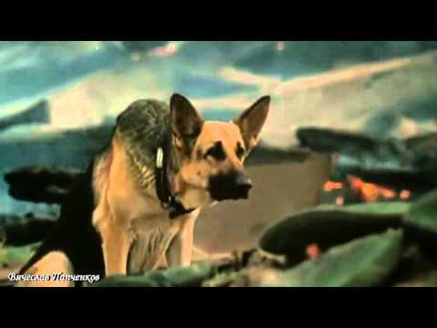 Видео: Погранцам Посвящаю!!!