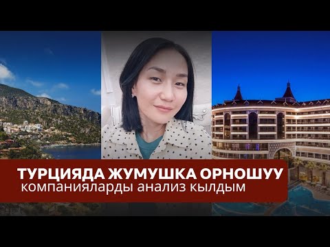 Видео: Турцияда жумушка орношуу: компанияларды анализ кылдым 🇹🇷
