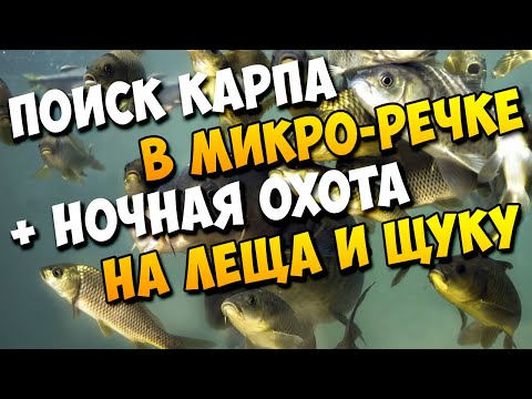 Видео: Ночная охота на рыбу + Рыбалка с рогаткой и Дротиками на Карпа/Сазана - Часть 1 #22