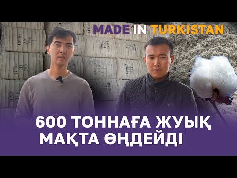 Видео: Made in Turkistan | 600 тоннаға жуық мақта өңдейді