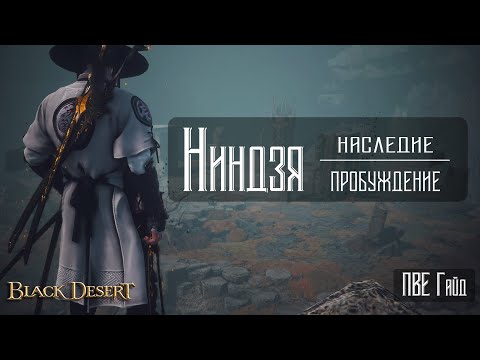 Видео: Ниндзя | БДО | ПвЕ Гайд | Ninja | BDO | PvE Guide
