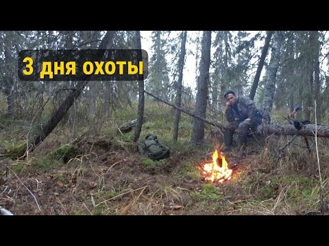 Видео: ПОСЛЕДНИЙ ЧЕРНОТРОП: РАБОТАЮ НА ПУТИКЕ. ДОБЫЛИ ГЛУХАРЯ.ОХОТА С ЛАЙКОЙ.