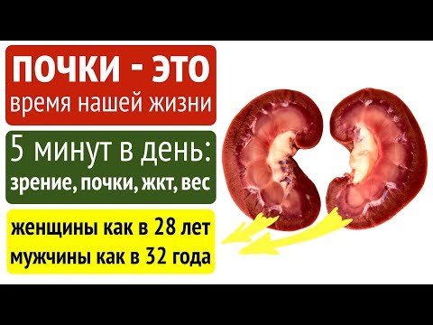 Видео: "Почки омолодились и регенерировали на 100%.  А доктор в поликлинике не верил в даосские методы"