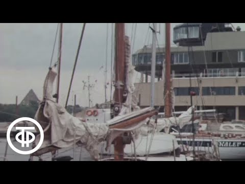Видео: О старом Томасе и белых парусах. Подготовка к олимпийской парусной регате в Таллине (1979)