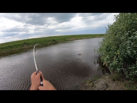 Видео: Я В ШОКЕ, КАКОЙ ЖЕ ОН ВСЁ ТАКИ СИЛЬНЫЙ, ОН ЧУТЬ СПИННИНГ С РУК НЕ ВЫРВАЛ!!! САЗАН НА ДОНКИ...
