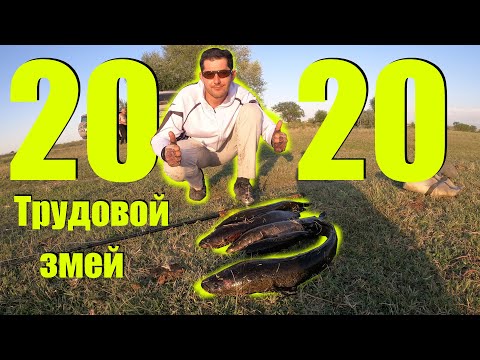 Видео: Змееголов, трудовая рыбалка