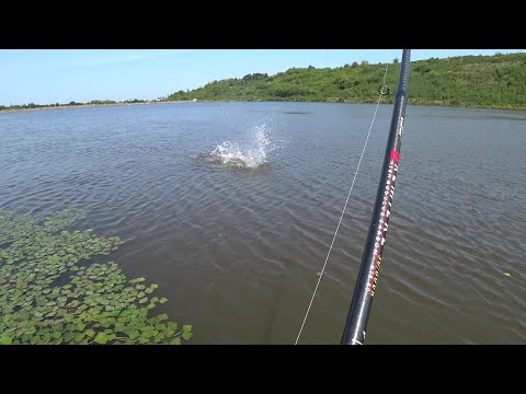 Видео: Короп на картоплю \ на бічний кивок