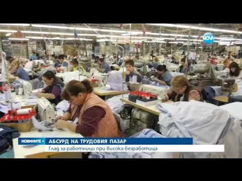 Видео: До 60 000 българи годишно напускат страната, търсят работа в чужбина - Новините на нова (08.01.2016)