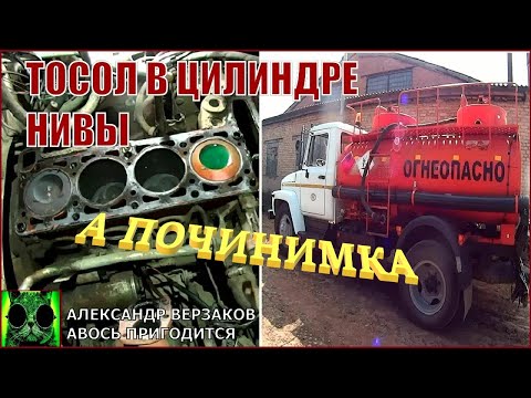 Видео: Началось в колхозе утро 8/7-й выпуск 2022г. Тосол в цилиндре Нивы.