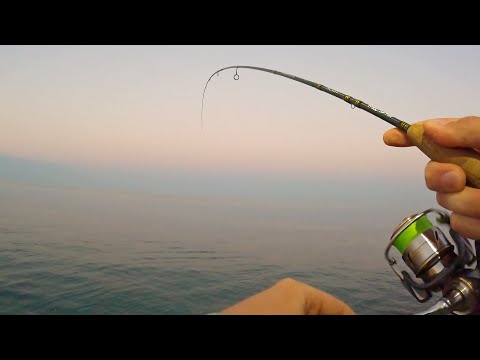Видео: На микроджиг в Июле ЛОВЛЮ ЯДОВИТЫХ РЫБ! САМАЯ НЕОБЫЧНАЯ рыбалка на спиннинг
