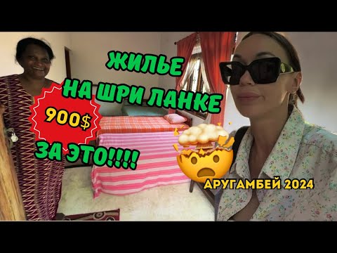 Видео: Цены НА АРЕНДУ В ШРИ-ЛАНКЕ! Я В ШОКЕ! Аругамбей 2024