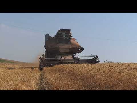 Видео: Колос Ск6 з січкарнею- Т-150к-2птс-9