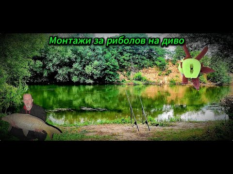 Видео: Монтажи за диви водоеми